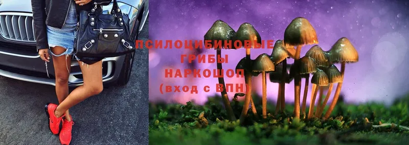 закладка  Североуральск  blacksprut ссылки  Псилоцибиновые грибы Magic Shrooms 